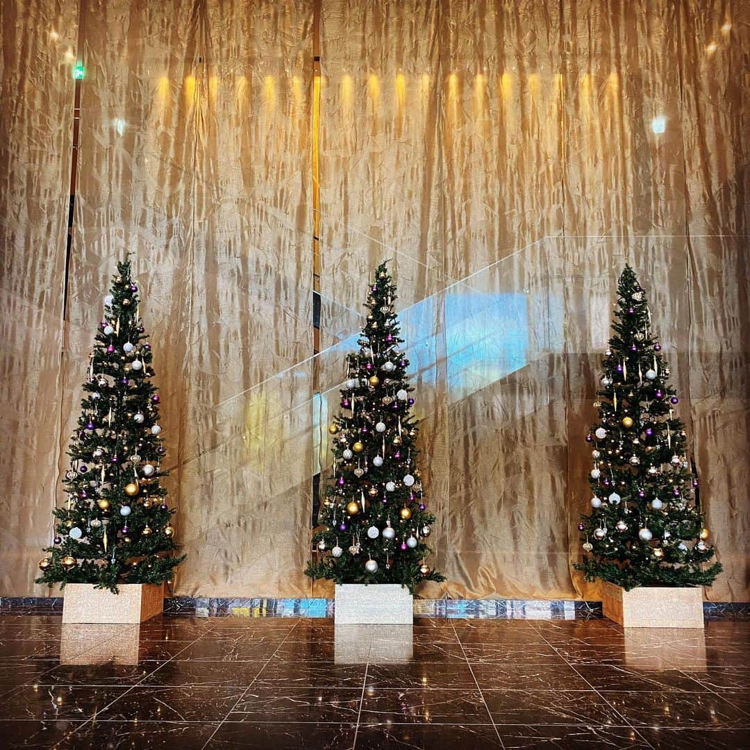 THE WESTIN SENDAI｜ウェスティンホテル仙台さんのインスタグラム写真 - (THE WESTIN SENDAI｜ウェスティンホテル仙台Instagram)「#クリスマス の準備が整いました🎄 #ウェスティン #仙台 #ウェスティンホテル仙台 #ウェスティン仙台 #クリスマスツリー #仙台クリスマス  #westin #sendai #westinsendai #christmas #christmastree #japan #marriott」11月16日 13時31分 - westinsendai