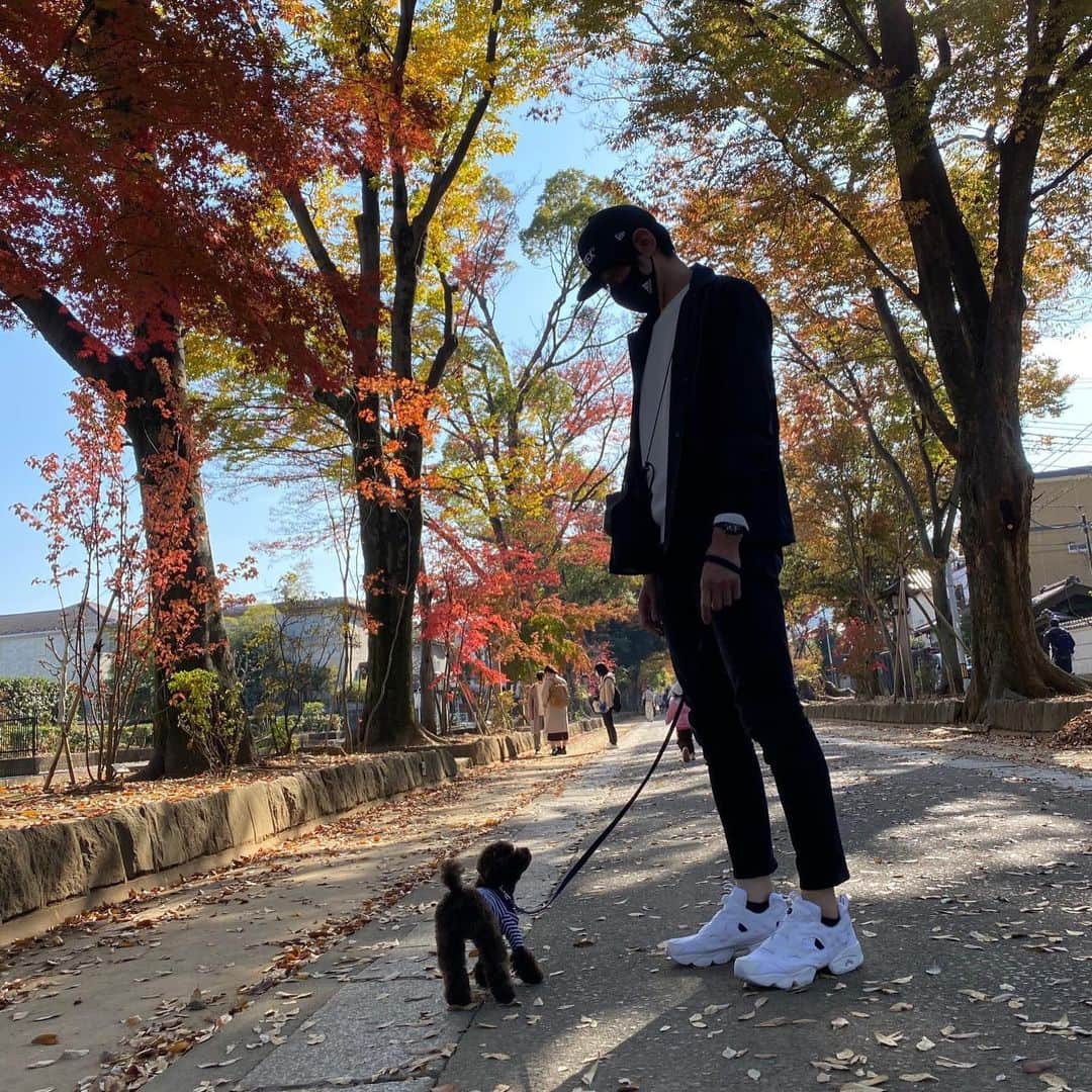 網野友雄のインスタグラム：「散歩からのコーヒータイム☕️ #トイプードル #サニー」