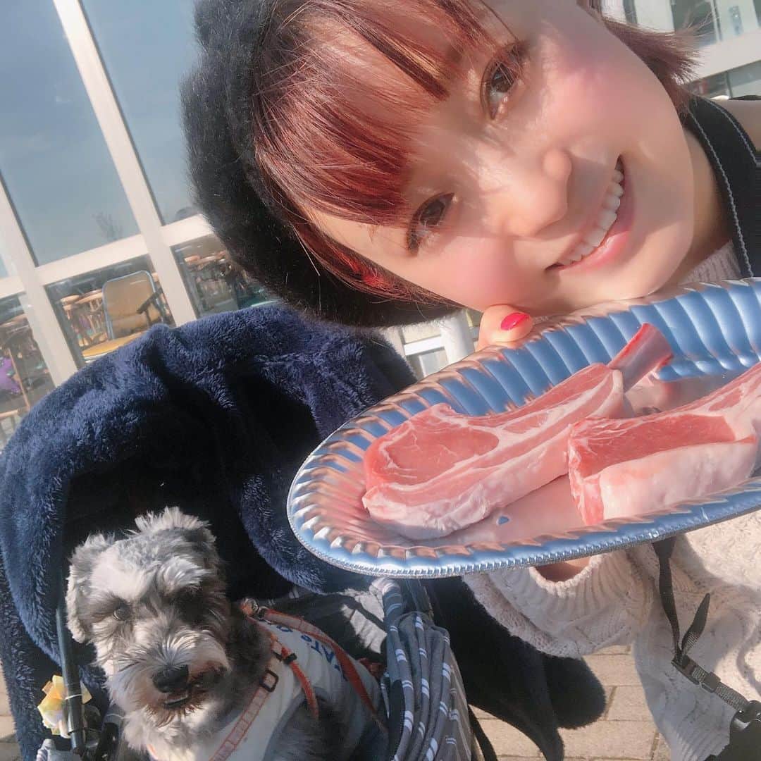 たかはしゆいさんのインスタグラム写真 - (たかはしゆいInstagram)「・ お出かけの思い出☺️🐶❤️ ・ #愛犬との時間  #愛犬との暮らし  #愛犬とお出かけ  #きぃたん  #ミニチュアシュナウザー  #シュナウザー  #マザー牧場  #ジンギスカン  #愛犬との休日」11月16日 14時13分 - t.yuirin