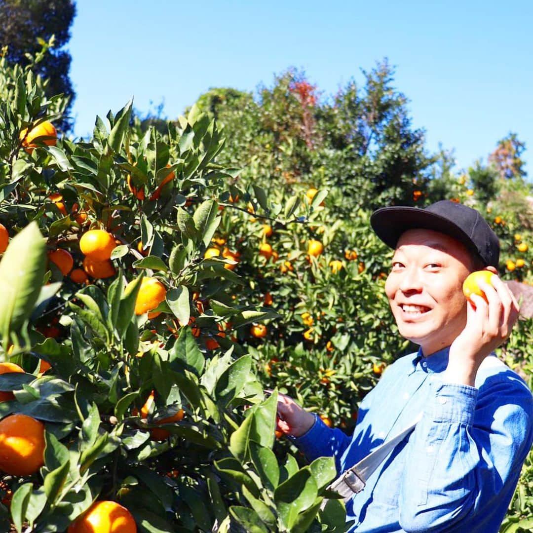 中華首藤さんのインスタグラム写真 - (中華首藤Instagram)「🍊🍊🍊  いっぱい食べて取って(´∀｀) #熊本  #熊本ローカル  #熊本市西区 #河内町  #河内みかん  #芳野 #もぎたて #フルーツ狩り  #みかん狩り #みかん #みかんの木 #みかん畑 #みかん大好き  #仲良し姉妹  #家族でお出かけ #かぞくのじかん #父と娘 #コミュニケーション  #無理矢理 食べさせてもらう（笑） #プチ反抗期  #姪っ子 撮影 #一眼レフ女子  #良い写真  #ありがとう   #熊本県 #大分県  #ローカルタレント  #中華首藤」11月16日 14時33分 - chuuka_shutou