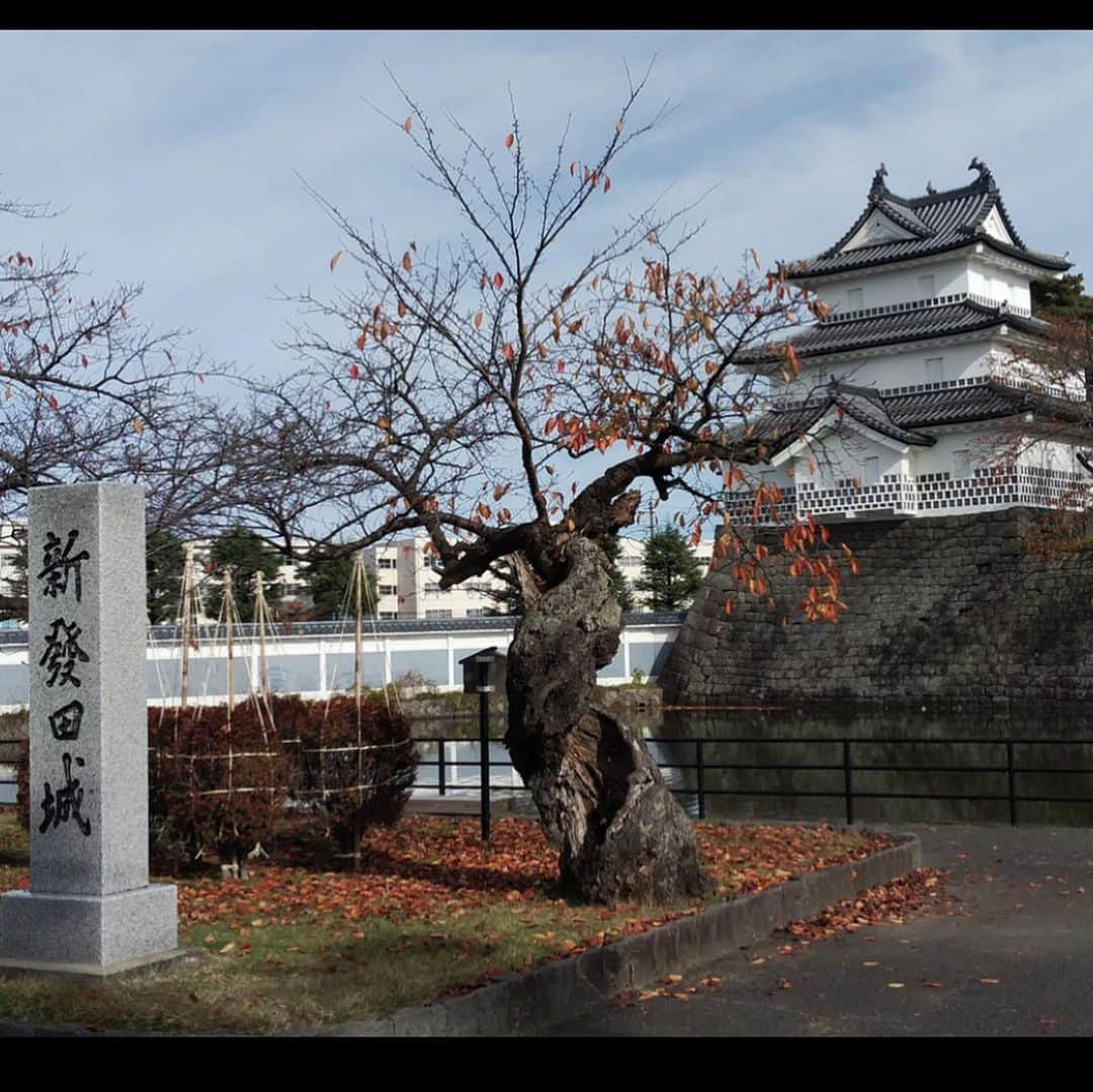 椎名佐千子さんのインスタグラム写真 - (椎名佐千子Instagram)「昨日は、新潟県新発田市から NHKのど自慢に生出演させて頂きました！ 応援してくださった皆さん、ありがとうございました❣️ さらに歌とパフォーマンスを磨いていけるよう精進いたします。  #nhk  #NHKのど自慢 #ゲスト  #ソーシャルディスタンスを保って  #生出演  #新潟県新発田市  #これからも頑張ります  #ありがとうございました🙏」11月16日 5時53分 - enkano.shiinasachikodes