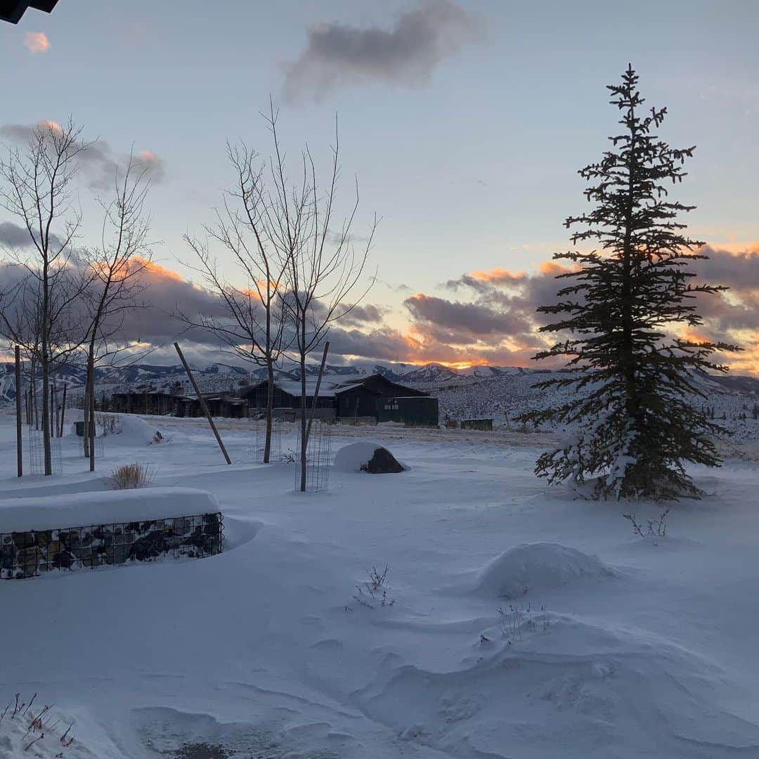 ギーザー・バトラーさんのインスタグラム写真 - (ギーザー・バトラーInstagram)「Self isolating in the mountains #mountainlife #isolation #peaceful」11月16日 6時17分 - geezerbutler