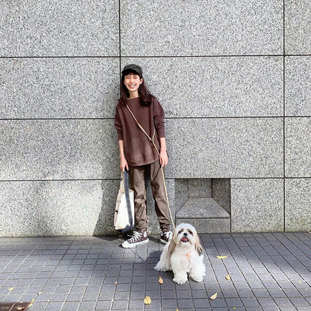 kazumiさんのインスタグラム写真 - (kazumiInstagram)「カブキと散歩🐕🐕🐕 @we_original のリードは 体に斜めがけに出来て両手があくからとても便利🐶💕 トップスとパンツは @studioclip ×スタイリストの玄長さん @naoko_gencho コラボ洗えるカノコニットとパンツ❤️ @converse_jp のスニーカー @tembea_torso_design の犬トート だよ👜 1週間はじまりはじまり！ 今週も楽しい週に〜✨ #カブキ#シーズー#weoriginal #kabukikazumi#studioCLIP#tembea#converse#kazumi」11月16日 8時28分 - kazumi0728
