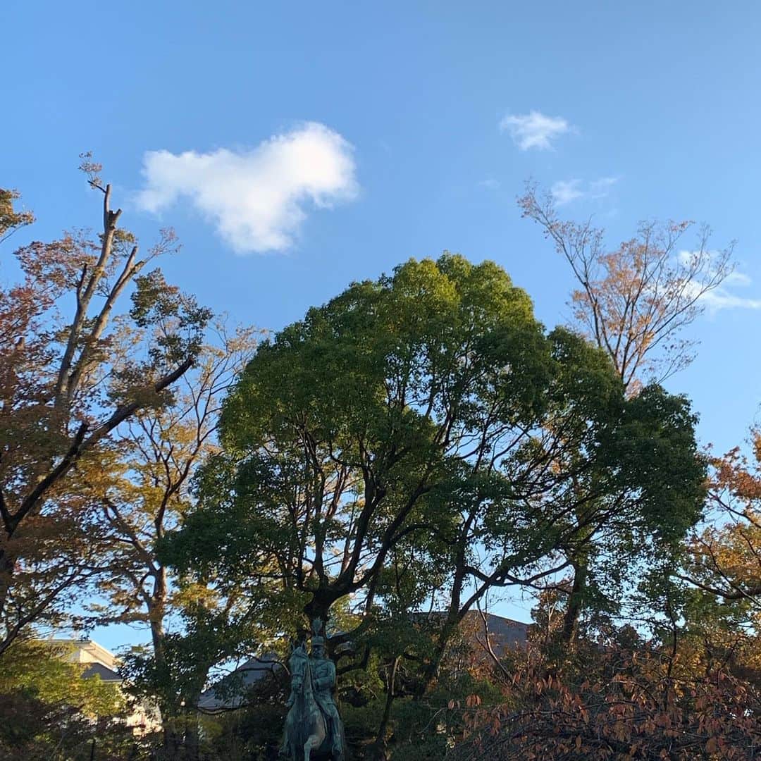 辻口博啓さんのインスタグラム写真 - (辻口博啓Instagram)「都会の真ん中にある紅葉もなかなかいけてる。 #japan#tokyo #広尾#有栖川公園#さんぽ道 #tsujiguchihironobu #紅葉」11月16日 9時21分 - htsujiguchi
