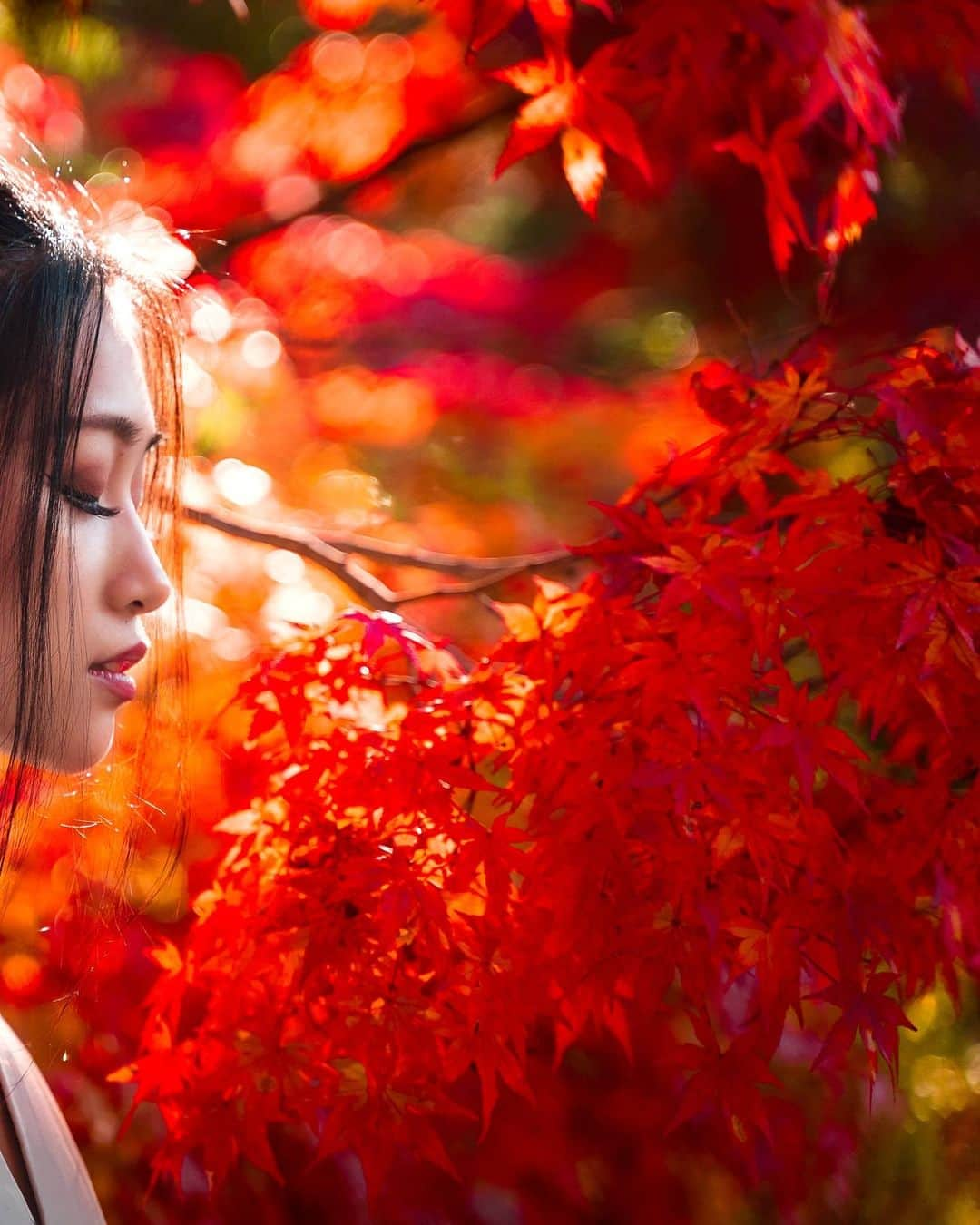 Joshさんのインスタグラム写真 - (JoshInstagram)「Grab my hand and never let go With @stefatty_ . . Japan is the place for autumn, no?  . . . #portraitmovement #under10kportraits #moodyport #sonyportraits #portraitgames #goodshotmate #autumncolors #japan #紅葉 #ポトレ」11月16日 9時30分 - joshtaylorjp