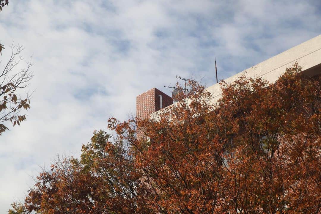 福岡女子短期大学さんのインスタグラム写真 - (福岡女子短期大学Instagram)「おはようございます。福岡女子短期大学です。 . 太宰府市は雨が降っていましたが、今はご覧のとおり綺麗な青空になりました。 . 昨日は福岡ソフトバンクホークスが日本シリーズ進出決定ということで盛り上がった皆さんも多いのではないでしょうか。 . 今週土曜日（11月21日）は、いよいよ指定校推薦等が実施されます。受験生の皆さん、頑張ってくださいね。 ． 撮影に協力いただいた福女短生の皆さん ありがとうございます🎀 . =======[ お知らせ ]======= 福岡女子短期大学の資料（2021大学案内📕）を無料送付中です。プロフィールのリンクからお気軽に申し込みください🌟 ======================= 子ども学科/健康栄養学科 音楽科/文化教養学科 . 福岡女子短期大学 住所：‪‪‪‪福岡県太宰府市五条四丁目16番‬1号‬‬‬ tel：‪‪‪092-922-4034‬‬‬（代表） ． #福岡女子短期大学　#短大生の日常　#福岡の短大っていいな  #太宰府の短大　#福女短スナップ　#スナップ写真　#福女短　#短大生　#放課後　#学生コーデ #アオハルしよ #太宰府市　#秋カラー #秋服 #落ち葉踏み　#落ち葉　#eos5dmark2」11月16日 9時46分 - fukuoka_wjc