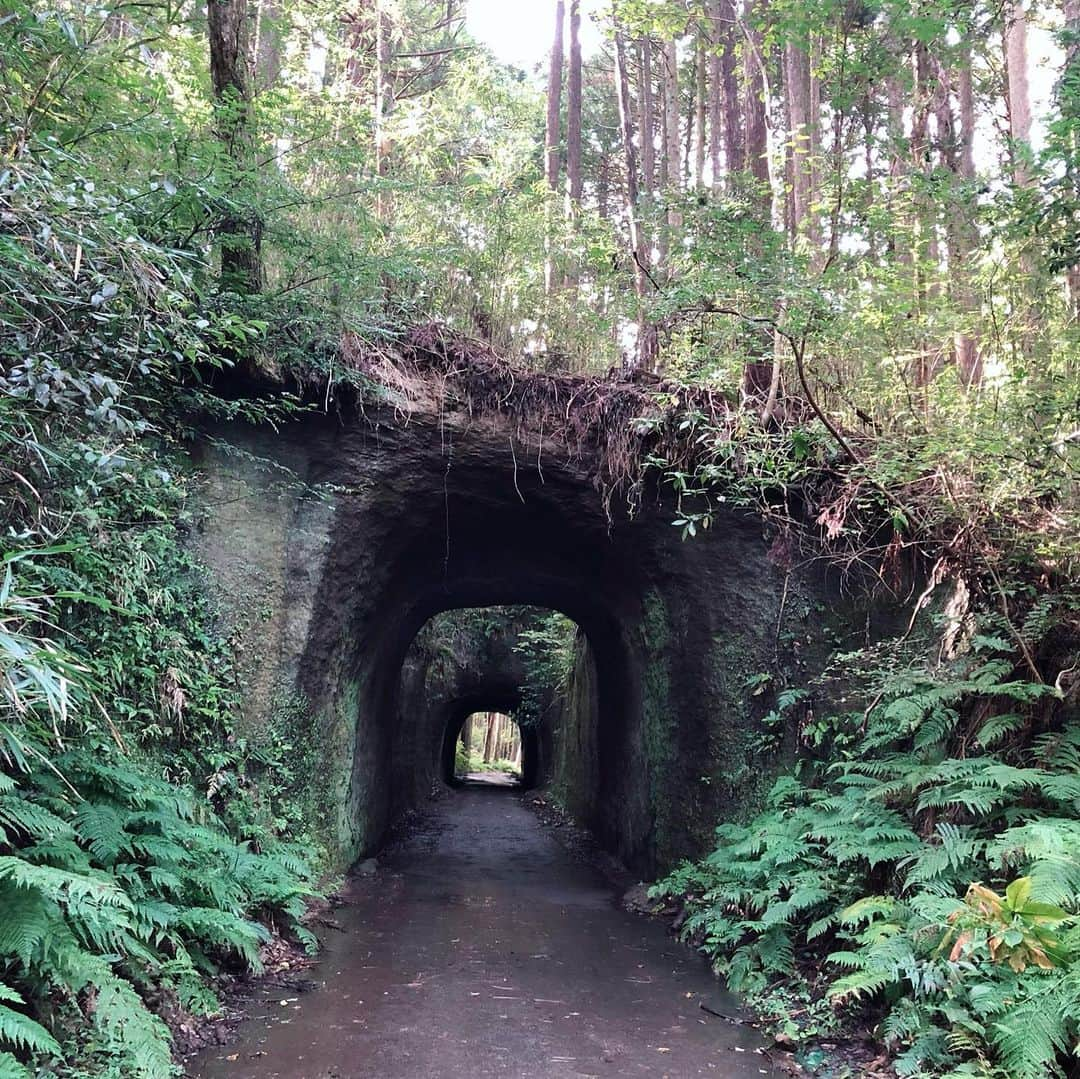 REINAさんのインスタグラム写真 - (REINAInstagram)「🌳 山道を歩いていくと ジブリの世界みたいな洞窟🌳 . 車は入れなくて、徒歩とかバイクなら行ける洞窟だったのー！ ジブリ大好きだから、こういう所好きなんですー🤤❤️  . . . #月崎トンネル #千葉 #ドライブ #ジブリの世界 #山 #山道 #トンネル #休日 #時間差投稿 #過去pic」11月16日 9時48分 - reina_partyon