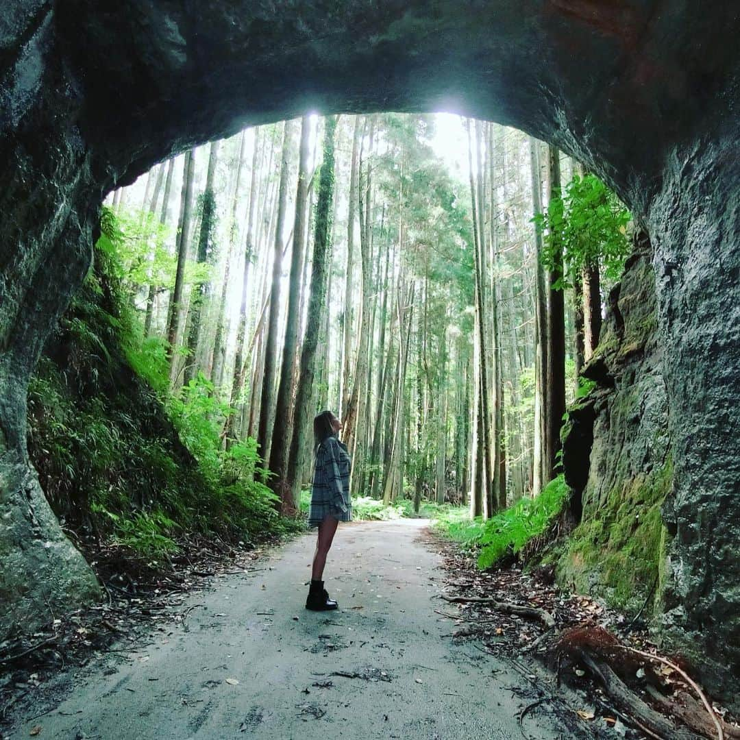 REINAさんのインスタグラム写真 - (REINAInstagram)「🌳 山道を歩いていくと ジブリの世界みたいな洞窟🌳 . 車は入れなくて、徒歩とかバイクなら行ける洞窟だったのー！ ジブリ大好きだから、こういう所好きなんですー🤤❤️  . . . #月崎トンネル #千葉 #ドライブ #ジブリの世界 #山 #山道 #トンネル #休日 #時間差投稿 #過去pic」11月16日 9時48分 - reina_partyon