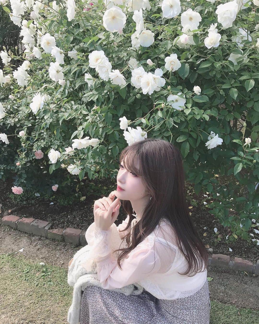 れみぱんのインスタグラム：「会う友達みんなにバラ園の写真よかったって言われる😳🌹やっぱ女の子はバラ好きだよね、嬉しい🌹 今週もがんばろー✨」