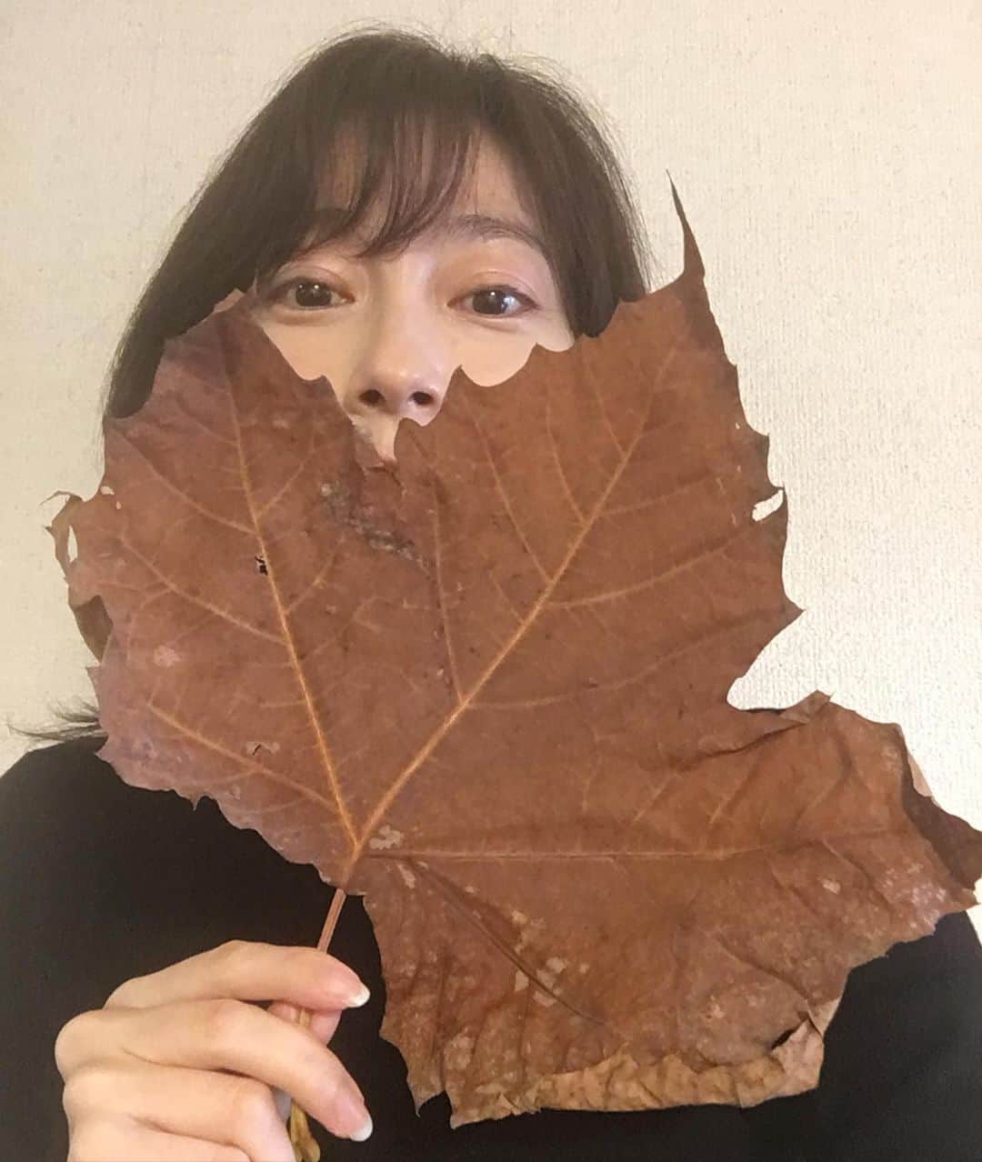 小橋めぐみのインスタグラム：「宅急便の中に入っていた、 大きな秋🍂」