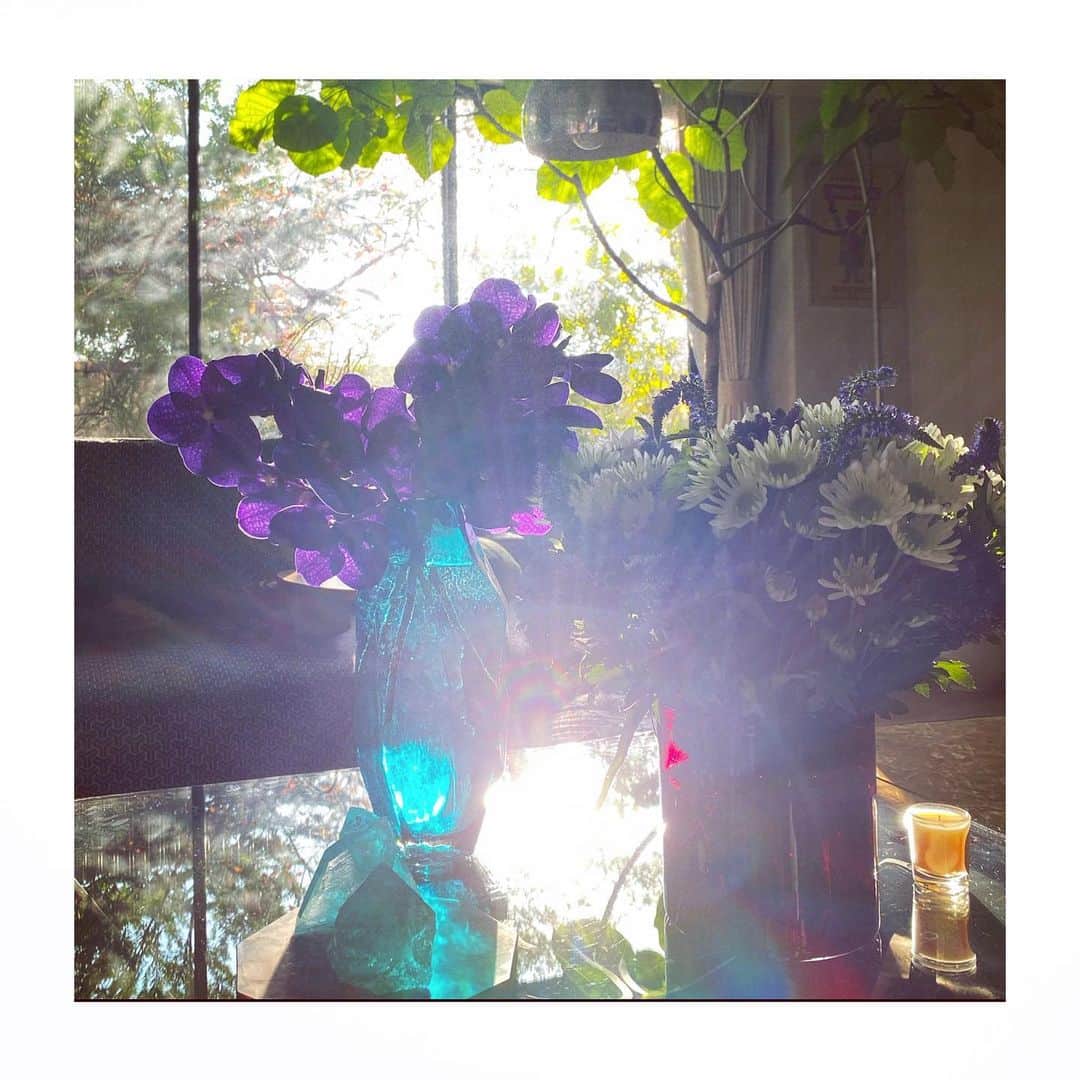 HiRAO INCのインスタグラム：「. 最近は紫色のお花が気分 リビングの光がきれい  今日も雲ひとつない晴天 毎日気持ち良いですね 皆さま良い一日を」