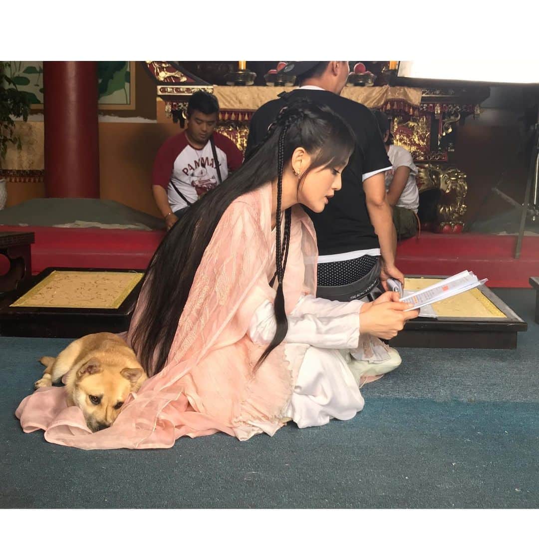 ジョー・チェン（Joe Chen）さんのインスタグラム写真 - (ジョー・チェン（Joe Chen）Instagram)「😢 思念成災～～～ 我福醬很懂事 助理說它什麼都知道 小腦袋小心思 每次回家都守在門口等 它應該以為我又去旅行怎麼還不回來 特別想我 😭😭 世界變了 疫情快點結束吧🙏  #從小跟媽媽混劇組的狗 #從橫漂混到北京戶口的小土狗😄」11月16日 10時33分 - iam_joechen