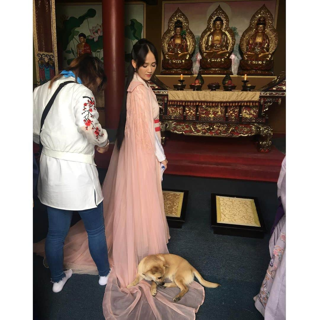 ジョー・チェン（Joe Chen）さんのインスタグラム写真 - (ジョー・チェン（Joe Chen）Instagram)「😢 思念成災～～～ 我福醬很懂事 助理說它什麼都知道 小腦袋小心思 每次回家都守在門口等 它應該以為我又去旅行怎麼還不回來 特別想我 😭😭 世界變了 疫情快點結束吧🙏  #從小跟媽媽混劇組的狗 #從橫漂混到北京戶口的小土狗😄」11月16日 10時33分 - iam_joechen