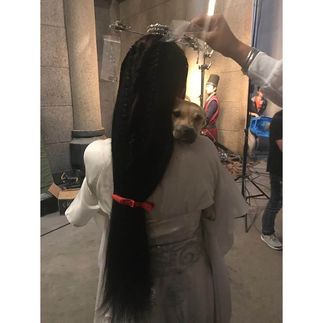 ジョー・チェン（Joe Chen）さんのインスタグラム写真 - (ジョー・チェン（Joe Chen）Instagram)「😢 思念成災～～～ 我福醬很懂事 助理說它什麼都知道 小腦袋小心思 每次回家都守在門口等 它應該以為我又去旅行怎麼還不回來 特別想我 😭😭 世界變了 疫情快點結束吧🙏  #從小跟媽媽混劇組的狗 #從橫漂混到北京戶口的小土狗😄」11月16日 10時33分 - iam_joechen