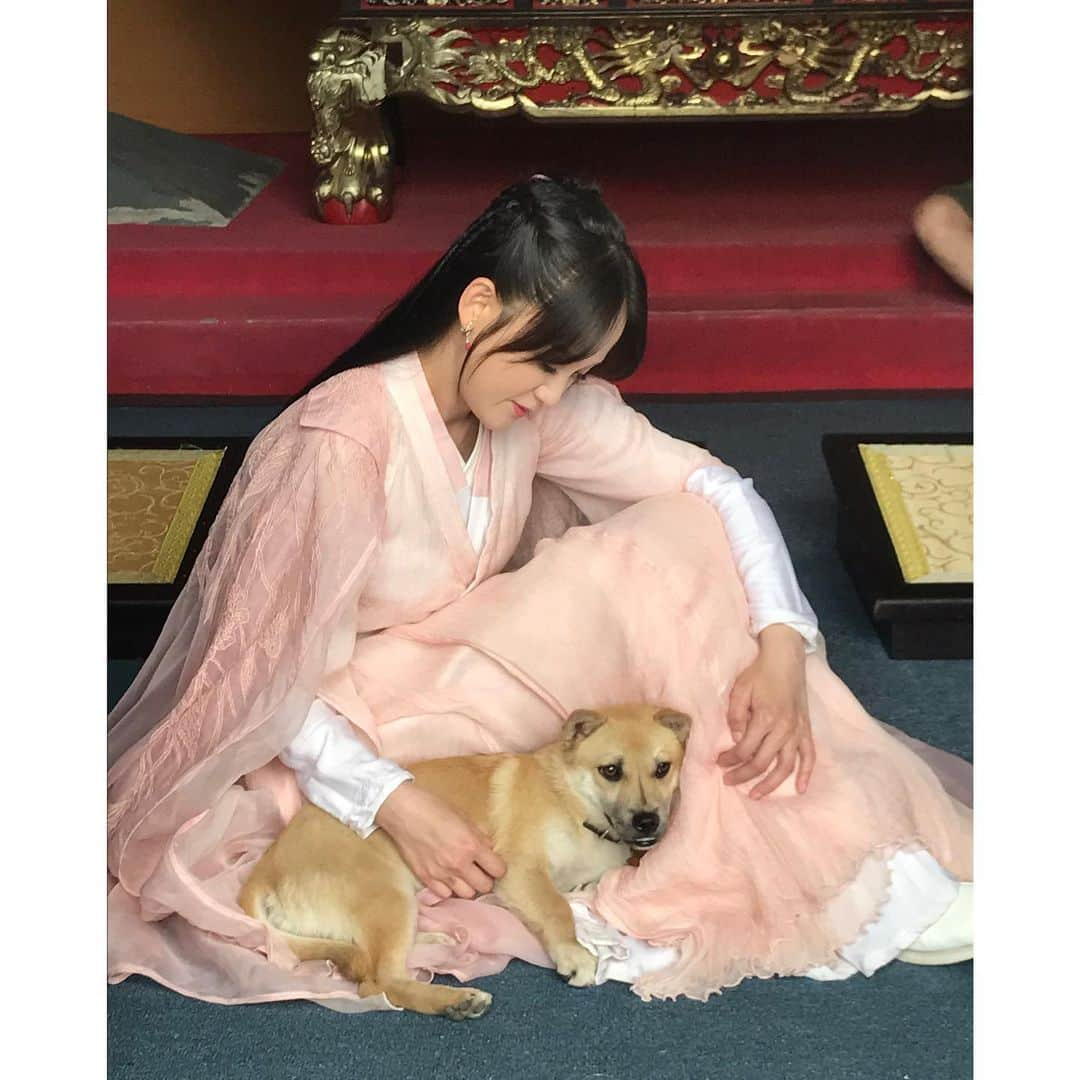 ジョー・チェン（Joe Chen）さんのインスタグラム写真 - (ジョー・チェン（Joe Chen）Instagram)「😢 思念成災～～～ 我福醬很懂事 助理說它什麼都知道 小腦袋小心思 每次回家都守在門口等 它應該以為我又去旅行怎麼還不回來 特別想我 😭😭 世界變了 疫情快點結束吧🙏  #從小跟媽媽混劇組的狗 #從橫漂混到北京戶口的小土狗😄」11月16日 10時33分 - iam_joechen