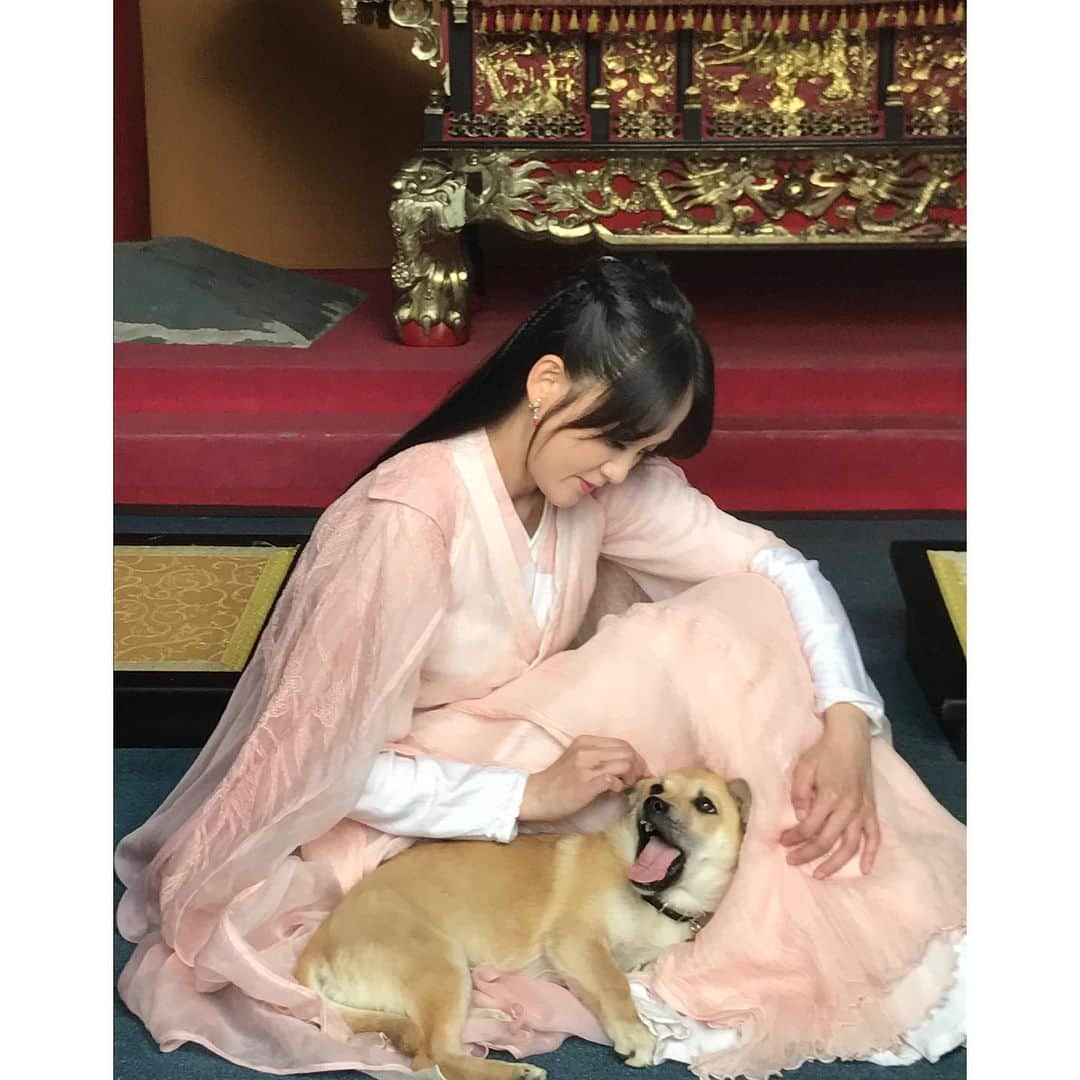 ジョー・チェン（Joe Chen）さんのインスタグラム写真 - (ジョー・チェン（Joe Chen）Instagram)「😢 思念成災～～～ 我福醬很懂事 助理說它什麼都知道 小腦袋小心思 每次回家都守在門口等 它應該以為我又去旅行怎麼還不回來 特別想我 😭😭 世界變了 疫情快點結束吧🙏  #從小跟媽媽混劇組的狗 #從橫漂混到北京戶口的小土狗😄」11月16日 10時33分 - iam_joechen