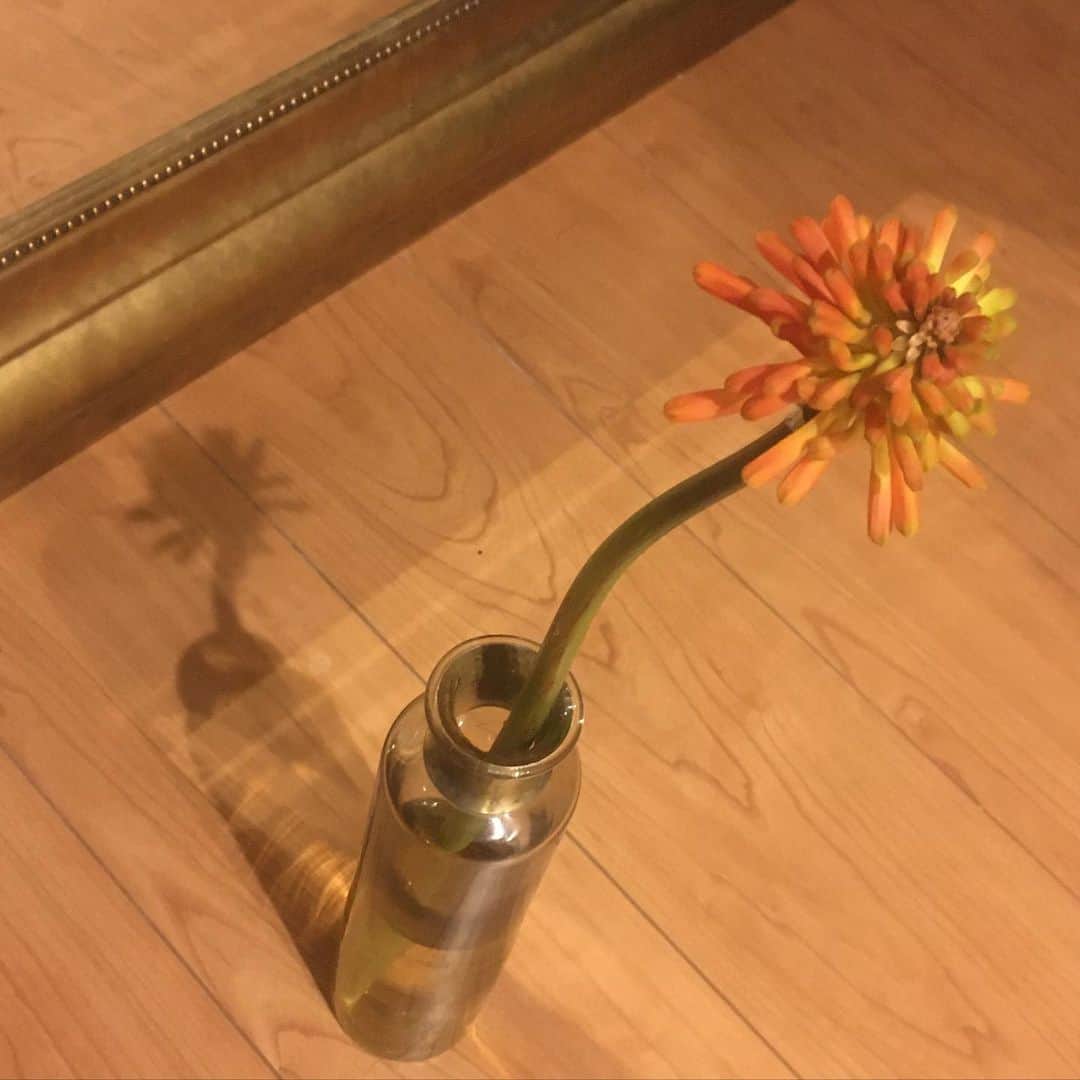 クーピーのインスタグラム：「@mood_tokyo」