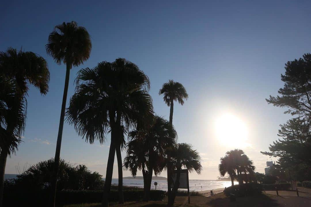 RENA さんのインスタグラム写真 - (RENA Instagram)「Good morning;) Thank goodness🌊 ． 最高の朝の景色と空気☀️ ． ． #miyazaki #earlymorning #ocean #wave #trip #homesweethome #朝日 #海のある生活」11月16日 11時15分 - rena_flare
