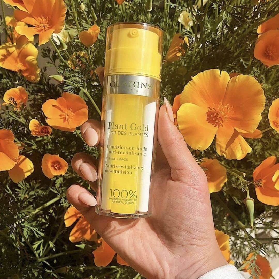 Clarins Méxicoさんのインスタグラム写真 - (Clarins MéxicoInstagram)「En esta época el clima cambia todo el tiempo, evita que tu piel luzca reseca y apagada con una hidratación a profundidad. 🙌🏻 Aprovecha el #BuenFin para llevarte Plant Gold.💛 Es una emulsión + aceite que se fusiona al momento de aplicarla en tu rostro, amarás su textura ligera 😍 ¡Está in-creí-ble!  . . . . #vivoclarins #PlantGold #emulsión #hidratación #naturalskincare #skincare #natural #naturalbeauty #healthyskin #selfcare #skincareproducts #beautycare #instabeauty #naturaloils #makeup #belleza #cuidadodelapiel #cuidadodelrostro #cuidadopersonal #natural #cuidatupiel」11月16日 11時12分 - clarinsmx