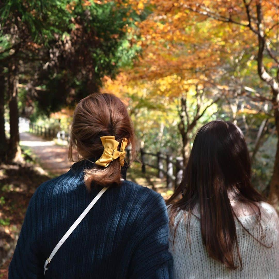 古田ちさこさんのインスタグラム写真 - (古田ちさこInstagram)「奥出雲photo.📷♡﻿ ﻿ 国の名勝、天然記念物のV字峡谷﻿ #鬼の舌震 (おにのしたぶるい)を散策👹♩﻿ ﻿ 下高尾駐車場降りてすぐのところ﻿ 真っ赤な紅葉に目を奪われました☺️﻿ ﻿ @tension_takano とはしゃいだり言葉を失ったりしながら絶景に酔いしれたな〜〜〜🍁﻿ ﻿ @okuizumo の魅力伝わりますように…✨✨ ﻿ ﻿ #奥出雲#奥出雲町﻿ #島根県#島根#japantrip  #舌震の恋吊橋#橋梁#日本の橋﻿#中国地方  #shimane#izumo#名勝#🍁#🍁🍁🍁 ﻿ #島根旅行#出雲#出雲旅行#紅葉を見る会 ﻿ #紅葉#紅葉狩り#紅葉デート#天然記念物﻿ #女子旅#girlstrip#japan_of_insta﻿#秋の空  #japantravel#japanesegirl#紅葉🍁」11月16日 11時18分 - chisakofuruta