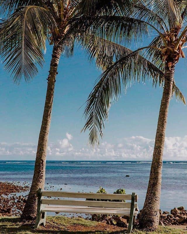 ハワイアン航空さんのインスタグラム写真 - (ハワイアン航空Instagram)「Aloha! #マンデーブルー は#深呼吸 をして、肩の力を抜いて、良い一週間のスタートにしましょう。 ⠀ 📷 @achlenewong 📍 ホノルル  #ハワイの風景 #妄想ハワイ #イメトレ #月曜日 #ビタミンsea  #ハワイ好きな人と繋がりたい」11月16日 11時56分 - hawaiianairlinesjp