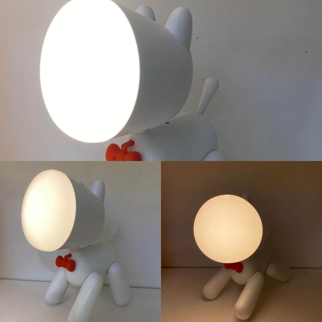 のインスタグラム：「LEDパピーランプ ¥2400(税抜) 以前、インスタLIVEでも紹介した商品です♪  Dog型の充電式LEDランプ。 尻尾がスイッチになっていて好きな灯で勉強や仕事用のデスクライト、読書灯、ベッドサイドランプ🛏でご活用頂けます。 場所を選ばずどこでも可愛く寄り添ってくれます😍 犬好きなあなたにはうってつけのアイテム！  ・調光:2段階 ・充電時間:約1.5時間 ・最大点灯時間:3時間(最大出力時)  @entresquare  からもご購入いただけます。  是非ご覧下さい♪♪  #RainbowSPECTRUM #rainbowspcetrum #レインボースペクトラム #entresquare #犬 #いぬ #イヌ #ドッグ #DOG #Dog #dog #LED #LEDパピーランプ #デスクランプ #ベッドサイドランプ #インテリア #おしゃれ #かわいい #海外輸入雑貨 #海外雑貨 #輸入雑貨 #インテリア雑貨」