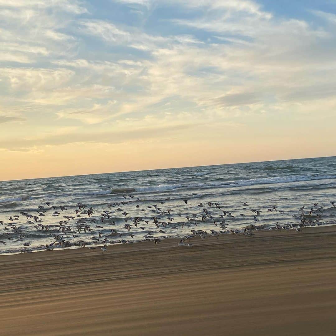加藤万里奈さんのインスタグラム写真 - (加藤万里奈Instagram)「この季節に海行ってきた。 海の幸に感謝。ビールしか勝たん🤛」11月16日 22時40分 - _marinakato_