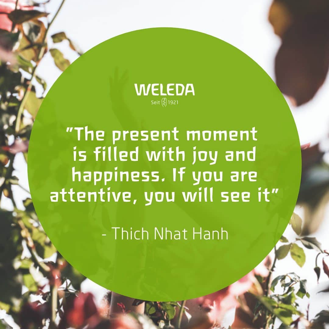 Weledaさんのインスタグラム写真 - (WeledaInstagram)「Find the joy in every moment! ✨ #quoteoftheday」11月16日 23時03分 - weleda_usa