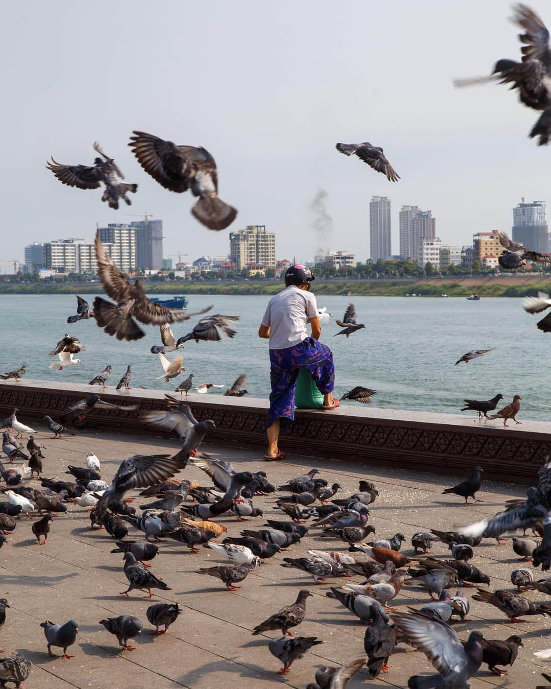 Shunsuke Miyatakeのインスタグラム：「Pigeon Mam, Riverside, Phnom Penh」