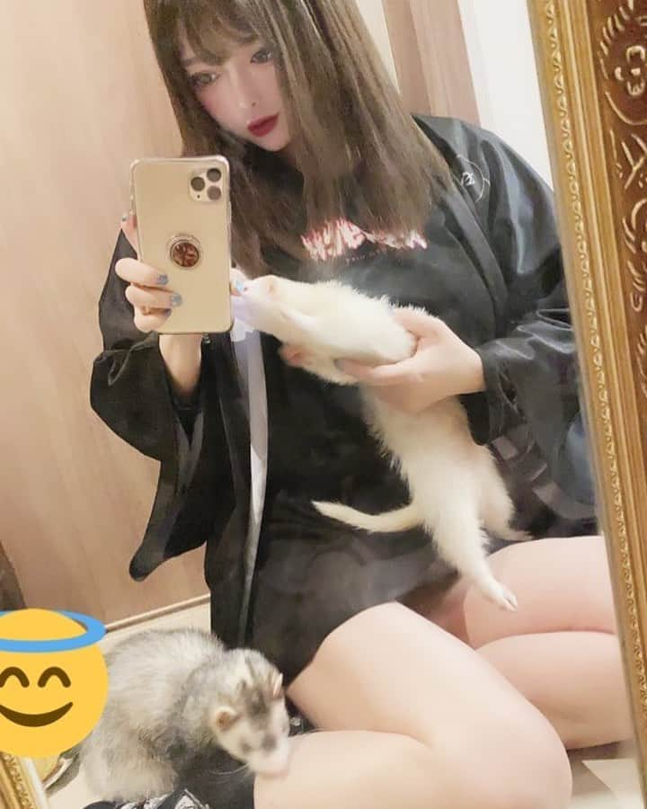 miyakoのインスタグラム：「KRYのお洋服と、ちびっこギャングたち。 #ferret インスタどんどん仕様が変わってやりづらい〜」