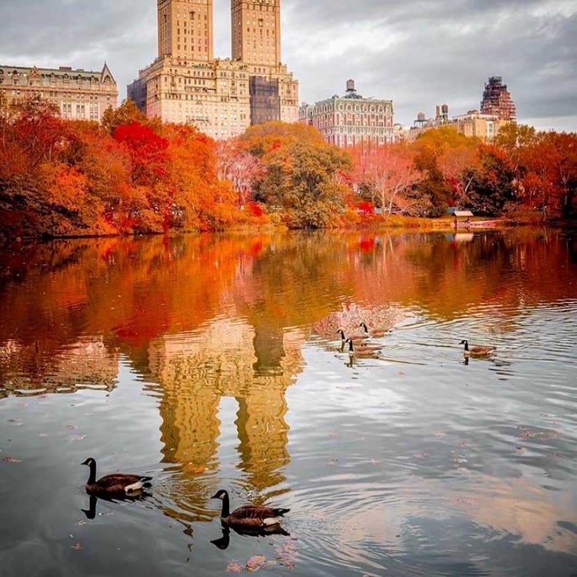 サッチン+バビのインスタグラム：「Good Morning Central Park. It’s definitely feeling like fall , the colors, and the crisp air are here. Credit:@secretnyc」