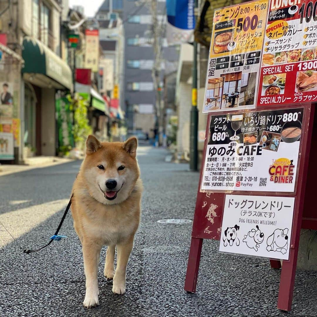 まる（まるたろう）のインスタグラム