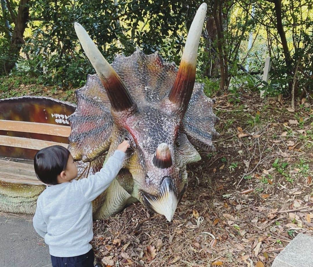 葵ゆりかさんのインスタグラム写真 - (葵ゆりかInstagram)「みなちんと初の子連れ旅🚗  兄弟のような👦🏻👶が可愛かった💕 なぜか似ているふたり。 なんでだろ？笑  急遽だったし色々バタバタすぎたけど楽しかった💕  #伊豆アニマルキングダム 大好きなんだけど 何が好きって 広くて本当にいい環境で動物達が飼育されてるので、みんなのびのび幸せそう🦒❤️ そして飼育員さんたちの動物愛がすごい🥰 至近距離で見れるし、いろんな動物に餌やりもできるので、動物好きにはオススメです❤️  👶達を寝かしつけてからヒソヒソと、湯飲みでシャンパン飲んだのいい思い出🍾笑  #旅行　#女子旅　#子連れ旅　#思い出　#わんことお出かけ #drive #👶　#🐶 #friends #伊豆」11月16日 15時27分 - yuriyuricchi