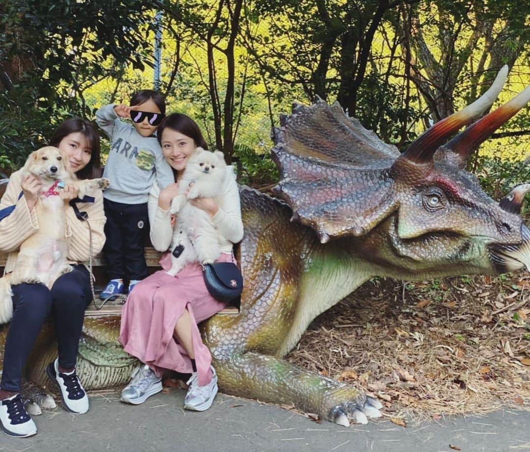 葵ゆりかのインスタグラム：「みなちんと初の子連れ旅🚗  兄弟のような👦🏻👶が可愛かった💕 なぜか似ているふたり。 なんでだろ？笑  急遽だったし色々バタバタすぎたけど楽しかった💕  #伊豆アニマルキングダム 大好きなんだけど 何が好きって 広くて本当にいい環境で動物達が飼育されてるので、みんなのびのび幸せそう🦒❤️ そして飼育員さんたちの動物愛がすごい🥰 至近距離で見れるし、いろんな動物に餌やりもできるので、動物好きにはオススメです❤️  👶達を寝かしつけてからヒソヒソと、湯飲みでシャンパン飲んだのいい思い出🍾笑  #旅行　#女子旅　#子連れ旅　#思い出　#わんことお出かけ #drive #👶　#🐶 #friends #伊豆」