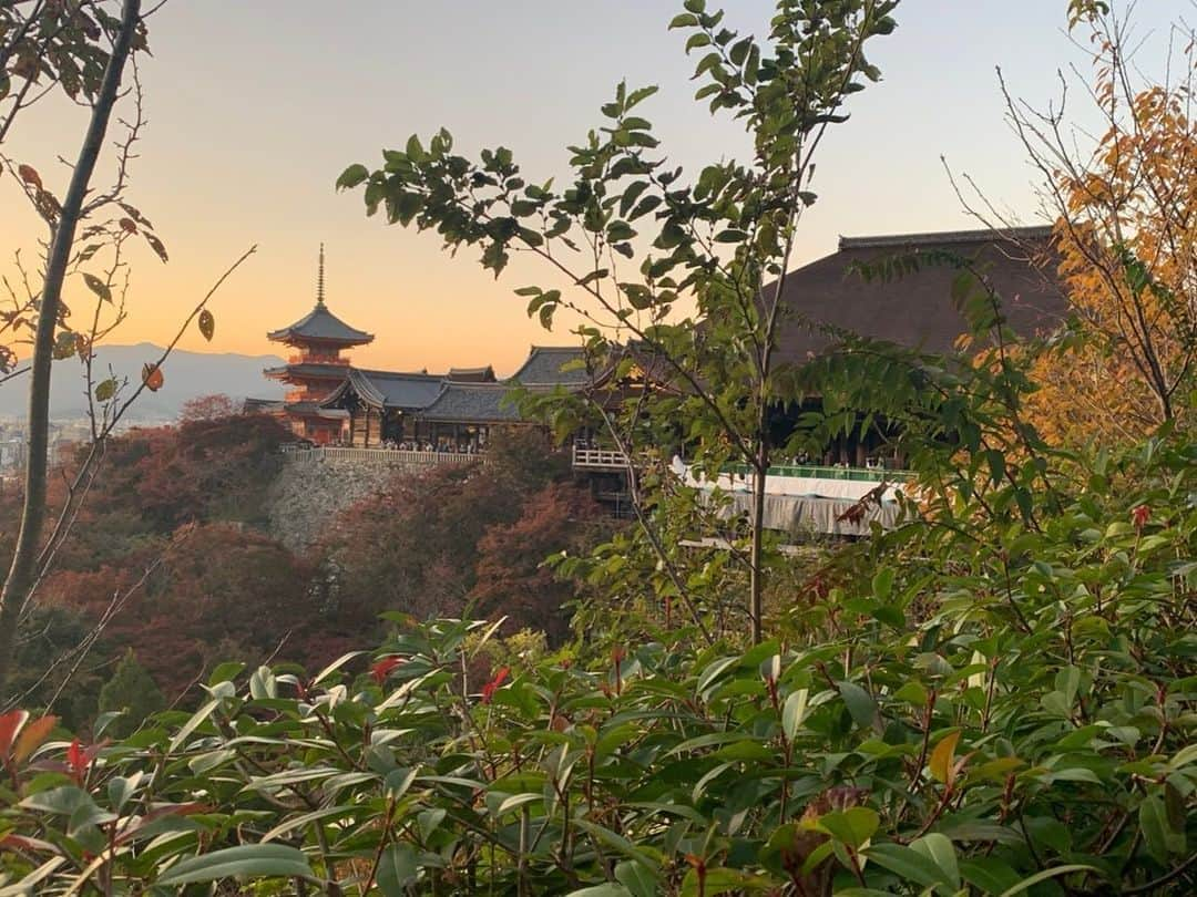 中岡龍子さんのインスタグラム写真 - (中岡龍子Instagram)「.in kyoto⛩ 昨日ストーリーにあげましたが京都に来ています！ 京都前に別用事もあってこの3日は歩き倒したけど 幸せでしかない時間を過ごせました👣  京都には大親友ちゃんが住んでて 欲張り贅沢コースで案内してもらった❤︎ 紅葉も綺麗すぎでした🍁  最高に楽しい時間を過ごした中でもなにより 約3年ぶりに会えたことが本当に幸せでした🍀  今日1日は帰る日で1人で少し回ったけど 予定なくたまたま行ったところが めちゃくちゃ素敵なところで、、 それは夜にでも写真載せます🐉⋆︎*」11月16日 15時45分 - ryoko1792