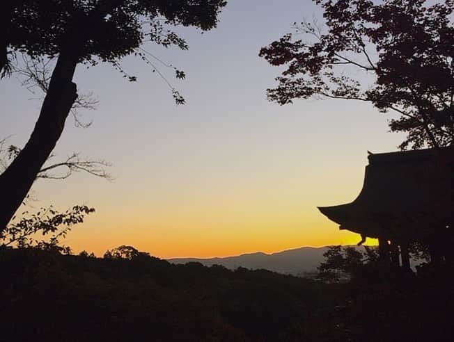 中岡龍子さんのインスタグラム写真 - (中岡龍子Instagram)「.in kyoto⛩ 昨日ストーリーにあげましたが京都に来ています！ 京都前に別用事もあってこの3日は歩き倒したけど 幸せでしかない時間を過ごせました👣  京都には大親友ちゃんが住んでて 欲張り贅沢コースで案内してもらった❤︎ 紅葉も綺麗すぎでした🍁  最高に楽しい時間を過ごした中でもなにより 約3年ぶりに会えたことが本当に幸せでした🍀  今日1日は帰る日で1人で少し回ったけど 予定なくたまたま行ったところが めちゃくちゃ素敵なところで、、 それは夜にでも写真載せます🐉⋆︎*」11月16日 15時45分 - ryoko1792