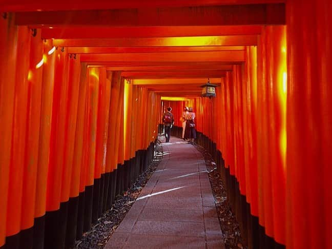 中岡龍子さんのインスタグラム写真 - (中岡龍子Instagram)「.in kyoto⛩ 昨日ストーリーにあげましたが京都に来ています！ 京都前に別用事もあってこの3日は歩き倒したけど 幸せでしかない時間を過ごせました👣  京都には大親友ちゃんが住んでて 欲張り贅沢コースで案内してもらった❤︎ 紅葉も綺麗すぎでした🍁  最高に楽しい時間を過ごした中でもなにより 約3年ぶりに会えたことが本当に幸せでした🍀  今日1日は帰る日で1人で少し回ったけど 予定なくたまたま行ったところが めちゃくちゃ素敵なところで、、 それは夜にでも写真載せます🐉⋆︎*」11月16日 15時45分 - ryoko1792