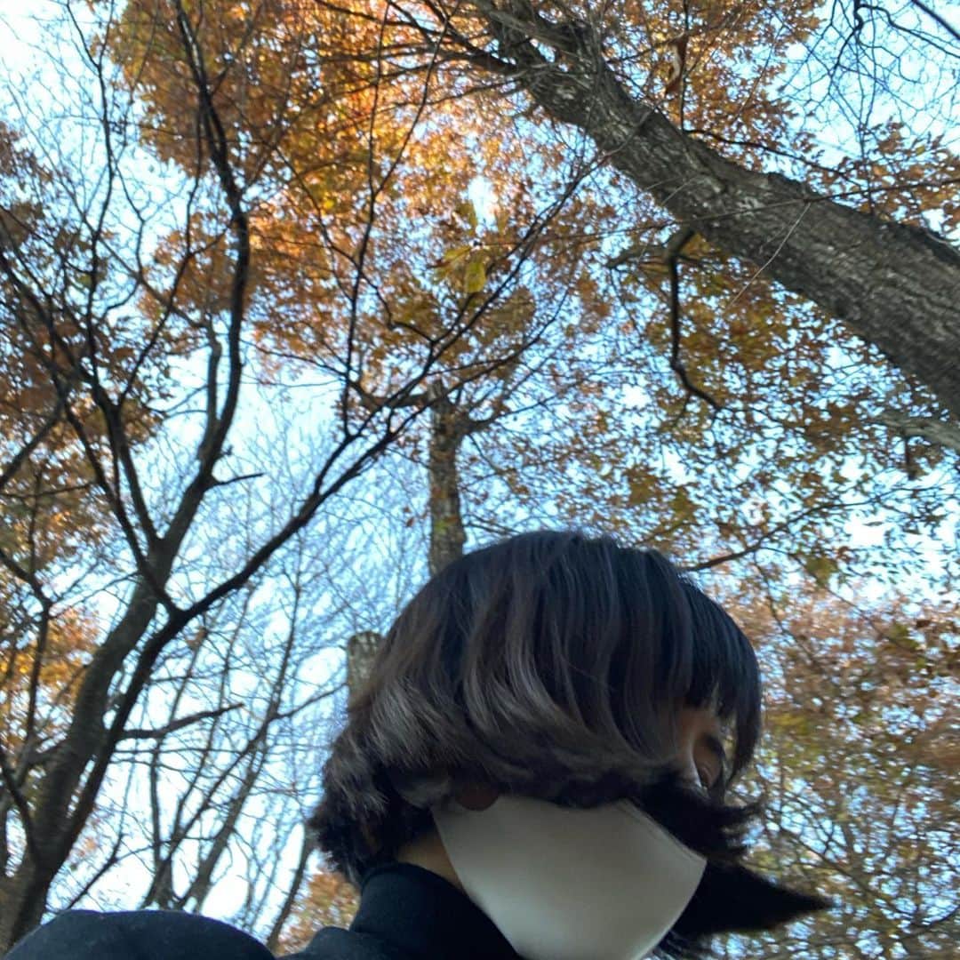 ラブリのインスタグラム：「紅葉」