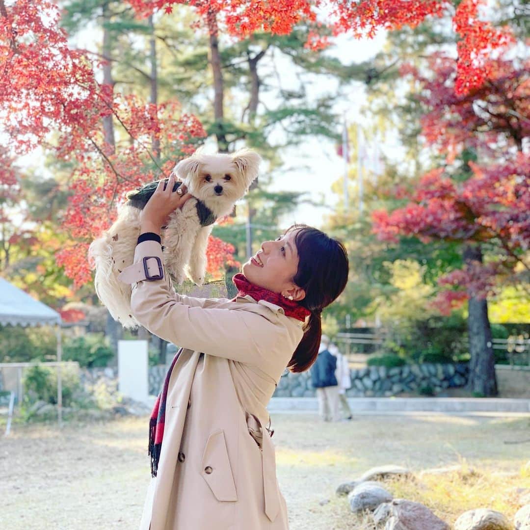チャン・リーメイのインスタグラム：「恒例の… ✴︎ 高い高〜い🍁 ✴︎ からの ✴︎ KISS💋KISS💋KISS💋 ✴︎ いつもお付き合いありがとうございます😅 ✴︎ #紅葉キッス #秩父 #長瀞散歩 #ポメラニアンミックス #高い高い #愛犬とお出かけ #秋散歩🐾 #dogslover #保護犬を家族に #月の石もみじ公園🍁」