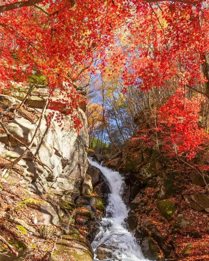 福島県のインスタグラム