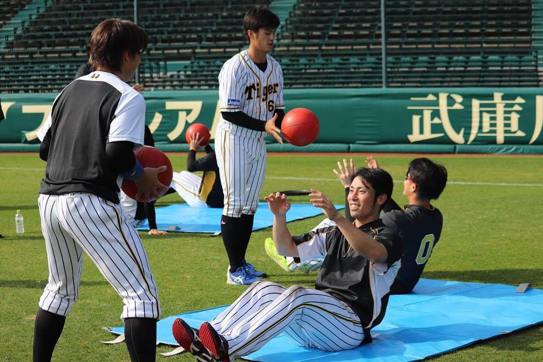 阪神タイガースさんのインスタグラム写真 - (阪神タイガースInstagram)「今日も秋季練習の様子をお届けします❗️  #大山悠輔 選手 #原口文仁 選手 #木浪聖也 選手 #陽川尚将 選手 #板山祐太郎 選手 #谷川昌希 選手 #秋山拓巳 選手 #北川博敏 コーチ #江越大賀 選手 #藤浪晋太郎 選手 #梅野隆太郎 選手 #中谷将大 選手 #阪神タイガース #秋季練習 #2日目 ！」11月16日 17時19分 - hanshintigers_official