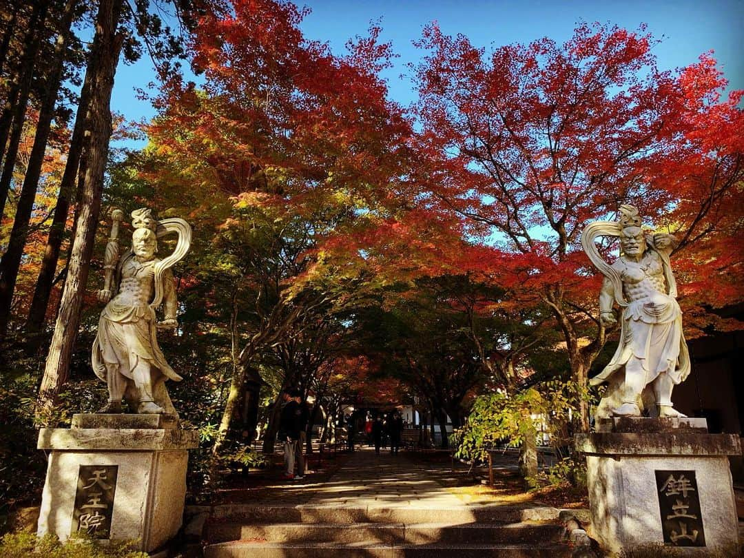 HAYATOさんのインスタグラム写真 - (HAYATOInstagram)「紅葉の季節です🍁  新たな場所で新たな出会い😃  ありがとうございました🌈  清められました✨  #BRIDGET   #HAYATO   #japan  #岐阜県  #東濃  #恵那市  #福岡県  #呑山観音寺  #紅葉  #のみやまさん  #厄除  #祈願  #ドウダンツツジ  #福岡県内3位の紅葉スポット  #chill  #仲間  #観光  #景色  #歴史  #文化  #旅行  #風景  #写真  #インスタ映え  #follow  #likeforlike  #instagood  #travel  #gratefuldays」11月16日 17時31分 - bridget_hayato