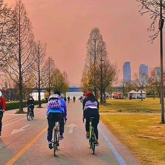 カンナム さんのインスタグラム写真 - (カンナム Instagram)「진짜 넘 빨라서... 저 죽는 줄.... 빨라도 넘 빠르자나.....자전거 말고 나는 오토바이 탈래....내 다리가 내 다리 아닌 거 같아 지금...#같이가 #기다려 #천천히 #힘들어 #난오토바이 #집가자 #아라써미아네 #그만 #살려주세요」11月16日 18時19分 - kangkangnam