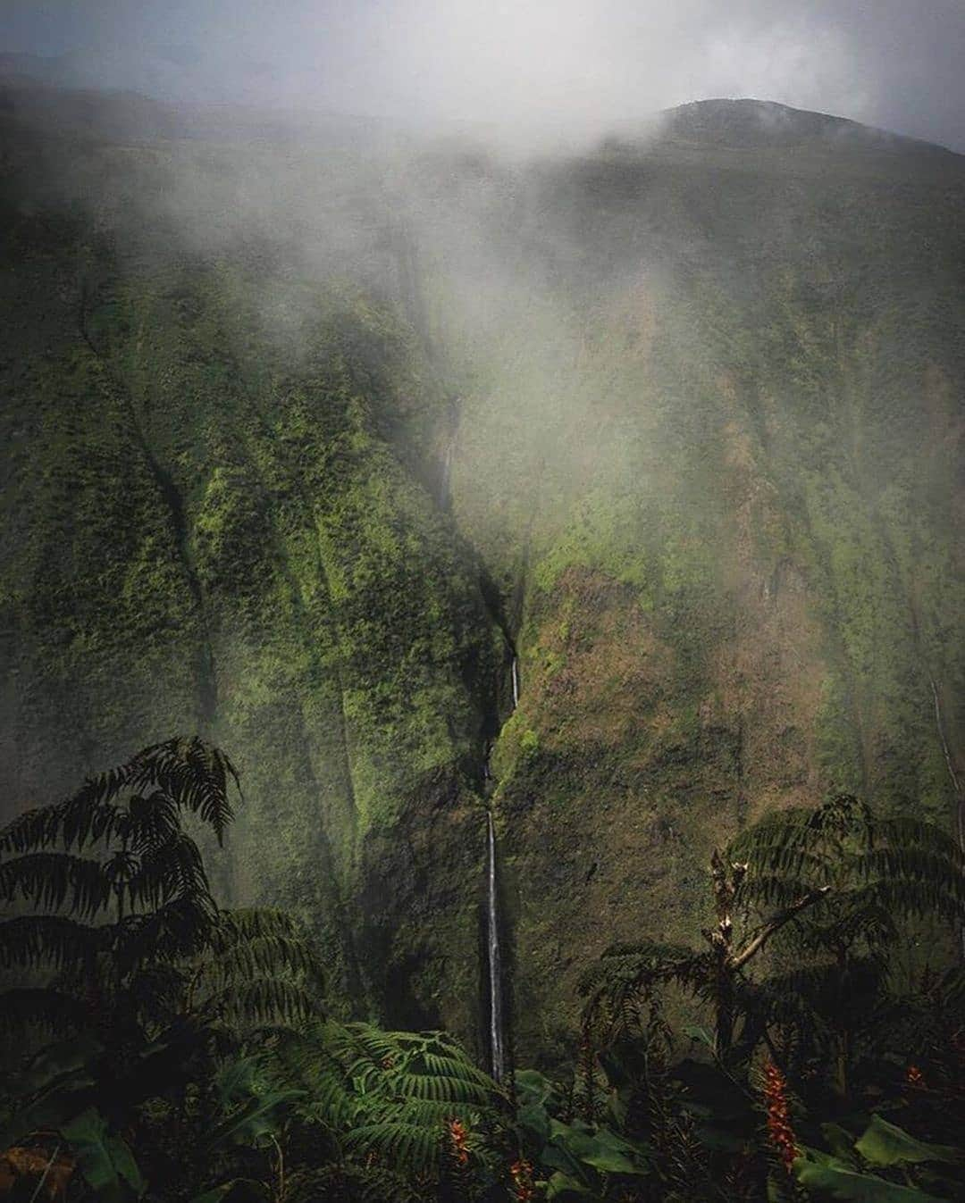 BEAUTIFUL DESTINATIONSさんのインスタグラム写真 - (BEAUTIFUL DESTINATIONSInstagram)「Swipe through to witness Hawaii in all its glory! 🙏🏼 The pandemic is not only making us rethink our priorities and lifestyles, but our travel choices as well.🍃 Let us all do our part in contributing to a better world while traveling.  BD Tips on Responsible Travel:  1. Research is key—make sure the activities you take part of do good instead of harm. 2. Minimize your waste and leave no trace. 3. Support sustainable accommodations and tour operators. 4. Respect local culture. 5. Shop locally and mindfully.  "We do not inherit the land from our ancestors, we borrow it from our children." —Native American Proverb ✨  What are your favorite things to do in Hawaii? How would you practice responsible travel there? 🌏  📸 @threeifbysea 📍 Hawaii」11月16日 18時20分 - beautifuldestinations