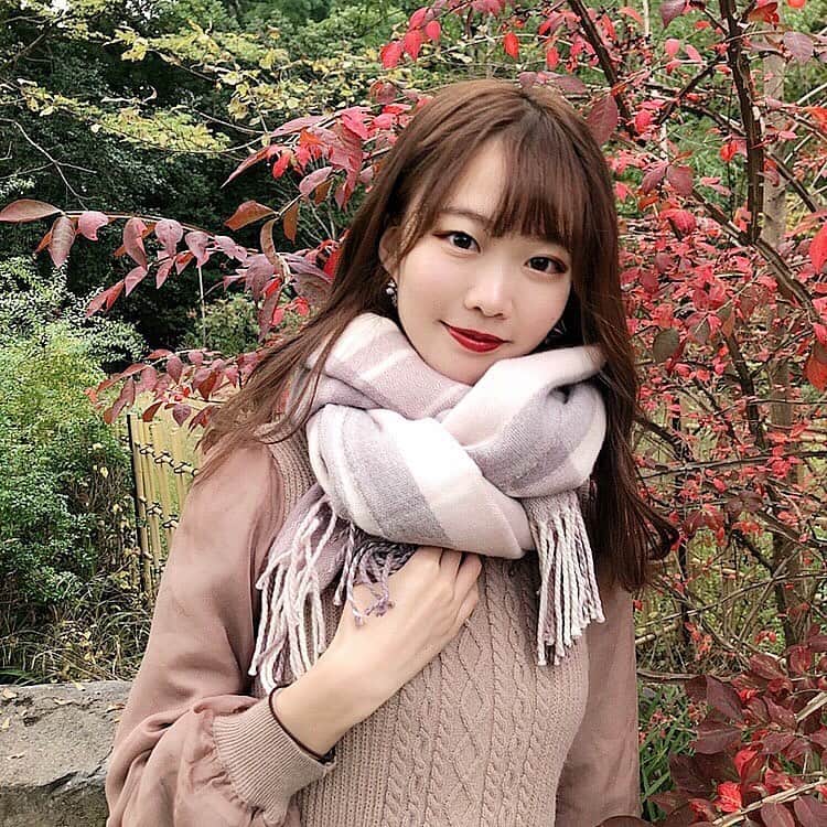 齋藤佳穂のインスタグラム：「紅葉綺麗でした🍁  本日も【かポチ】投票よろしくお願いします🥺 いつも応援本当に嬉しいです💐ありがとうございます😭🌟  #京都観光 #京都 #京都紅葉 #紅葉 #紅葉狩り #秋京都 #京都散策 #京都観光スポット #鈴虫寺 #ミスキャン #ミスコン #kyoto #kyotojapan」