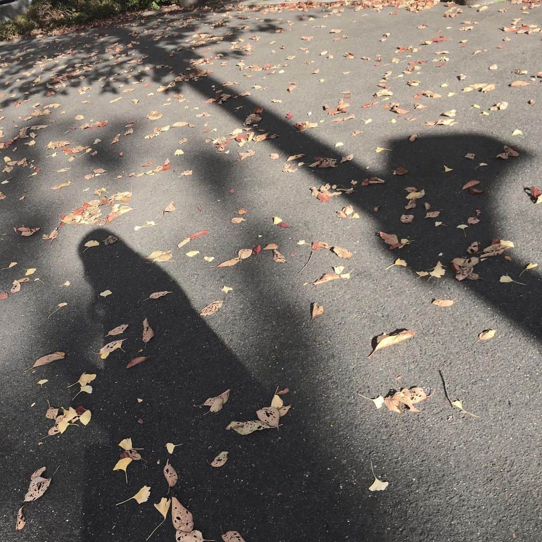 Dorothy Little Happyのインスタグラム：「あきな 🍀 * 秋 終了のお知らせです🍂」