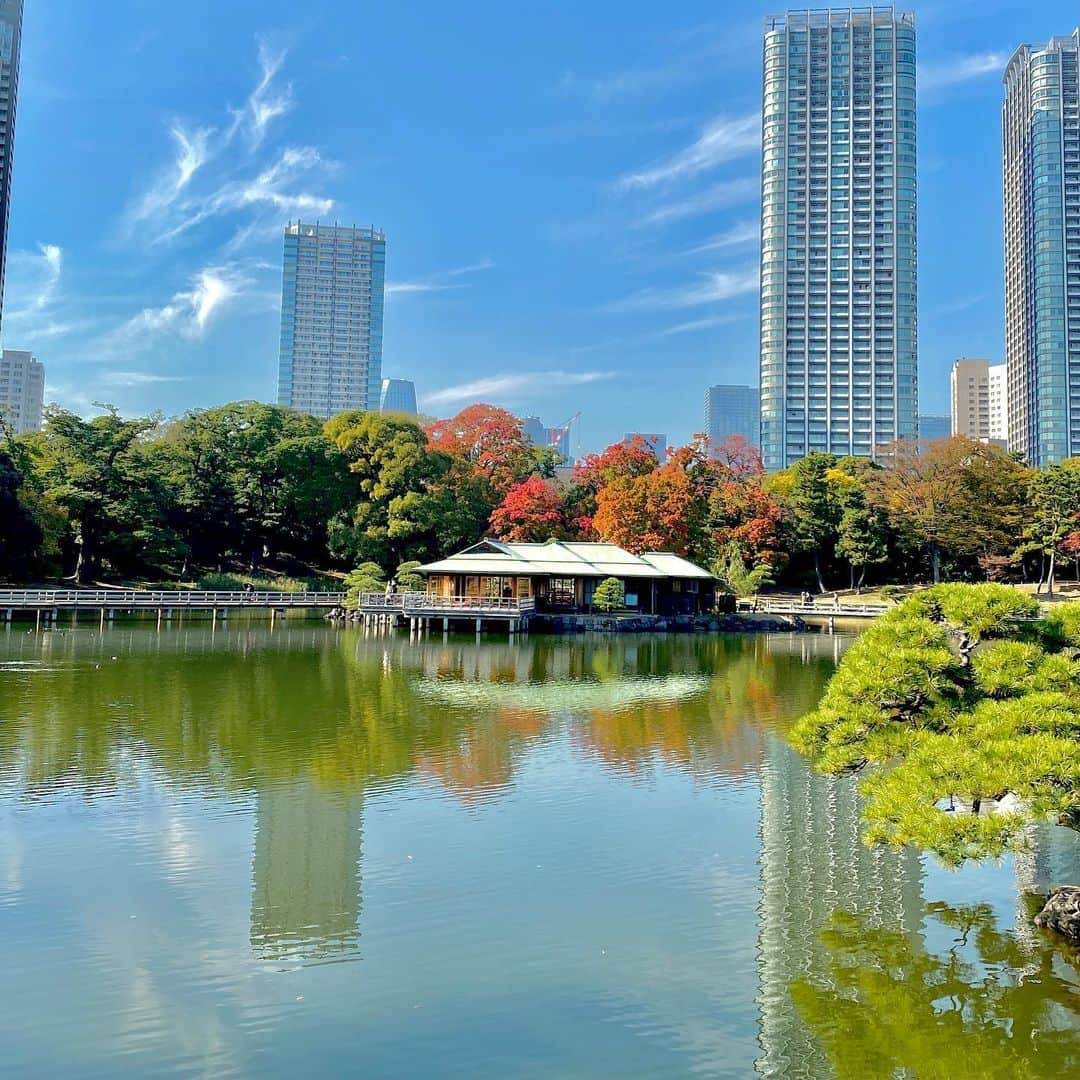 km観光タクシーさんのインスタグラム写真 - (km観光タクシーInstagram)「Hamarikyu Gardens #tokyodrive #tokyotrip #tokyotour #tokyosightseeing #tokyolife #tokyonow #tokyotravel #thingstodointokyo #mytokyois #thingstodoinjapan  #東京観光  #東京観光スポット #tokyotourism #観光タクシー #kmタクシー  #東京観光タクシー #kmtaxi #tokyotokyo #20cheersfortokyo」11月16日 18時40分 - tokyodrive.jp