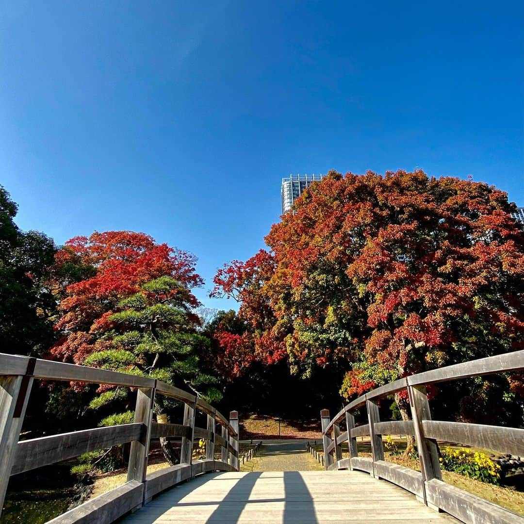 km観光タクシーさんのインスタグラム写真 - (km観光タクシーInstagram)「Hamarikyu Gardens #tokyodrive #tokyotrip #tokyotour #tokyosightseeing #tokyolife #tokyonow #tokyotravel #thingstodointokyo #mytokyois #thingstodoinjapan  #東京観光  #東京観光スポット #tokyotourism #観光タクシー #kmタクシー  #東京観光タクシー #kmtaxi #tokyotokyo #20cheersfortokyo」11月16日 18時40分 - tokyodrive.jp