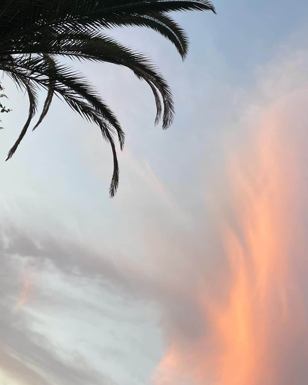 安藤咲弥のインスタグラム：「🍊sky」