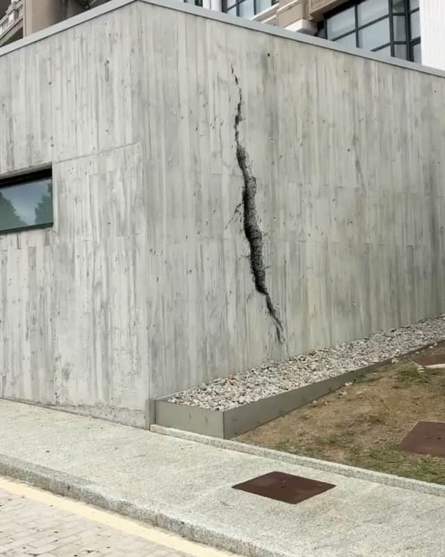 カロライナディークマンのインスタグラム：「calma.  não tire ainda suas conclusões.  olhe mais perto. ••• serve pra esse video.  e serve pra tudo. boa semana pra noixxx  👊🏽 via @pejac_art」